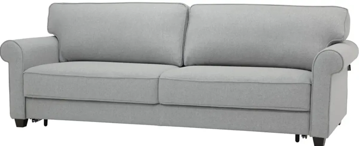 Casey Sleeper Sofa