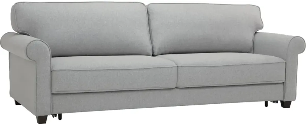 Casey Sleeper Sofa