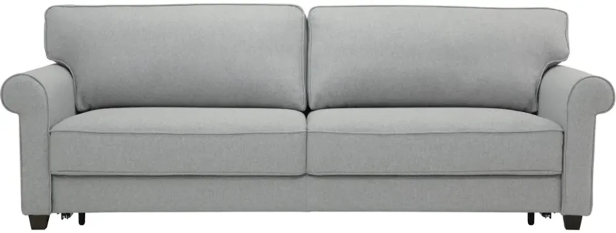 Casey Sleeper Sofa