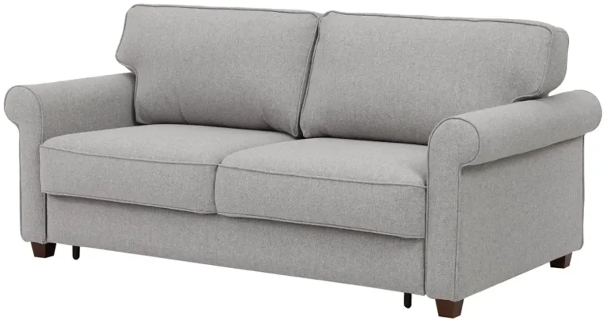 Casey Sleeper Loveseat