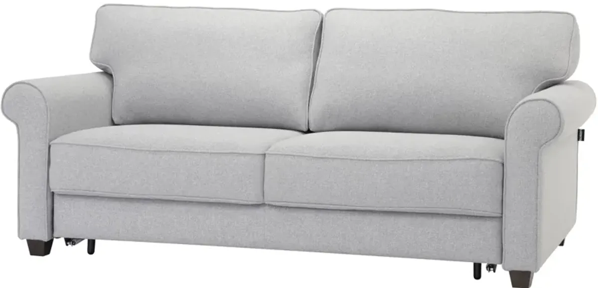 Casey Sleeper Loveseat