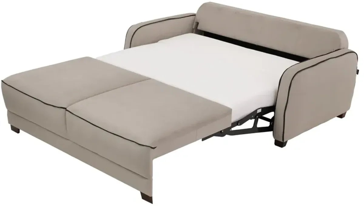 Leon Sleeper Loveseat