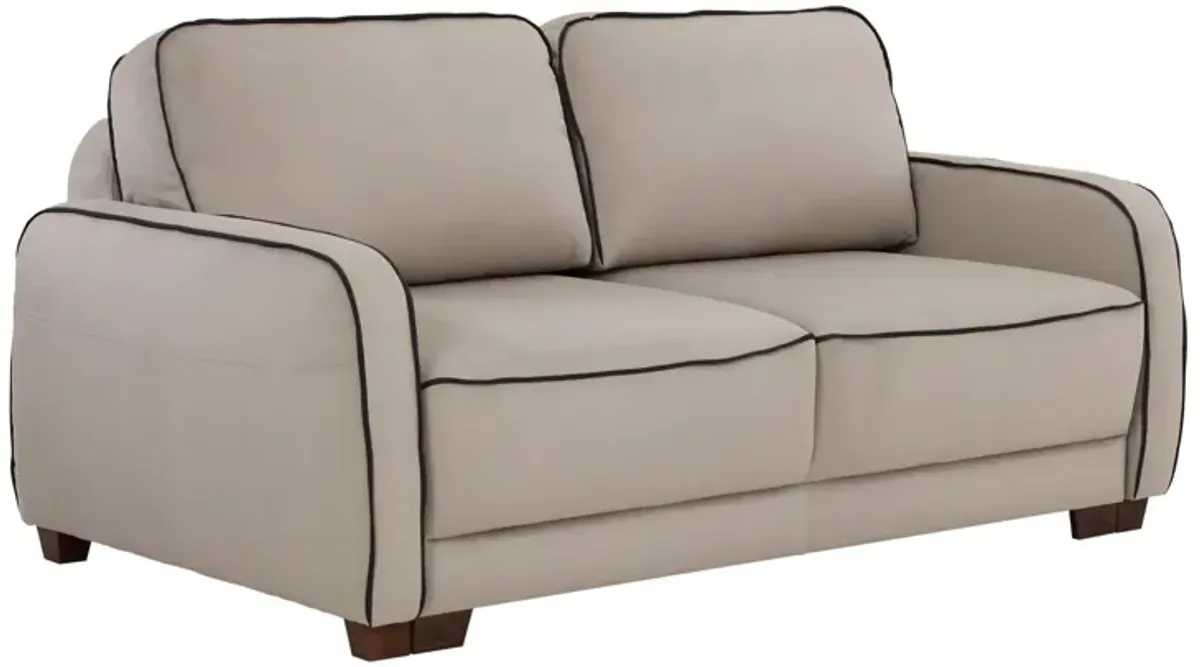 Leon Sleeper Loveseat