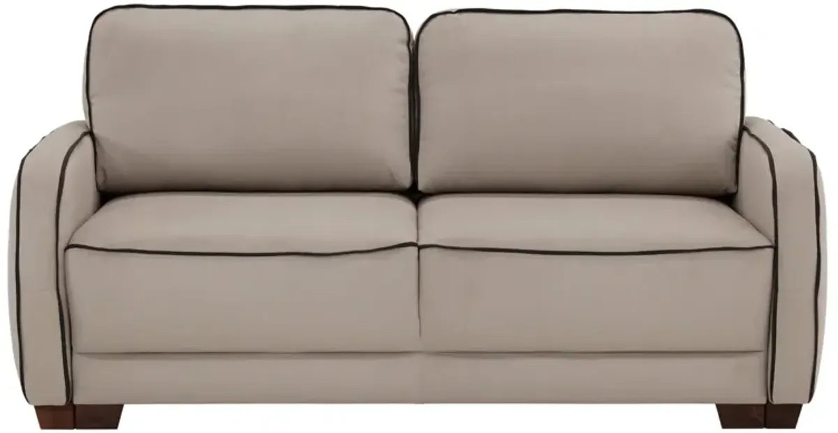 Leon Sleeper Loveseat