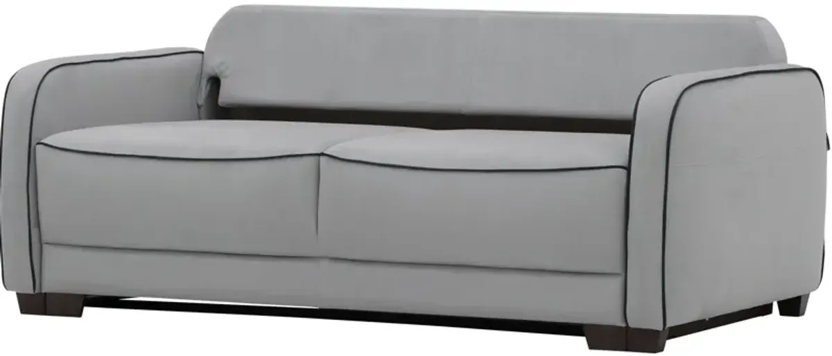 Leon Sleeper Loveseat