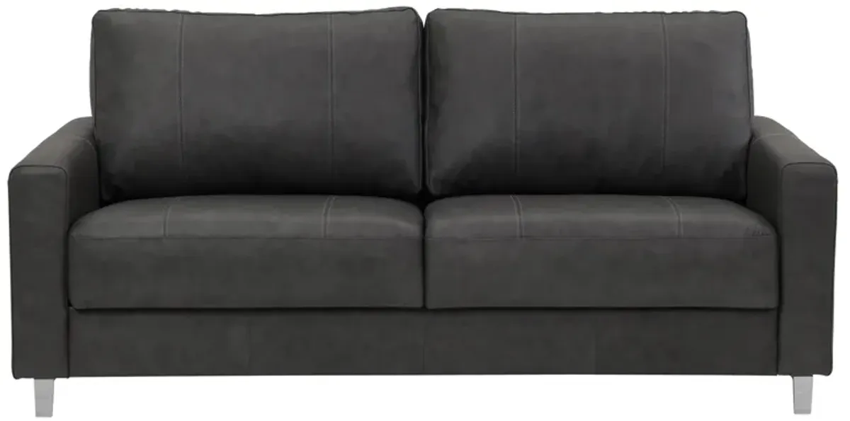 Nico Leather Sleeper Loveseat