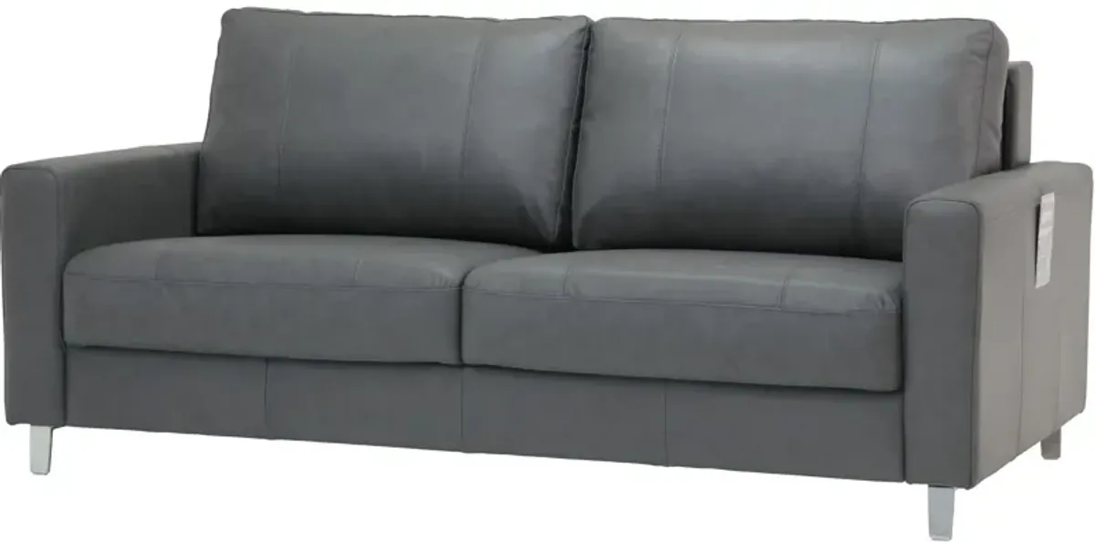 Nico Leather Sleeper Loveseat