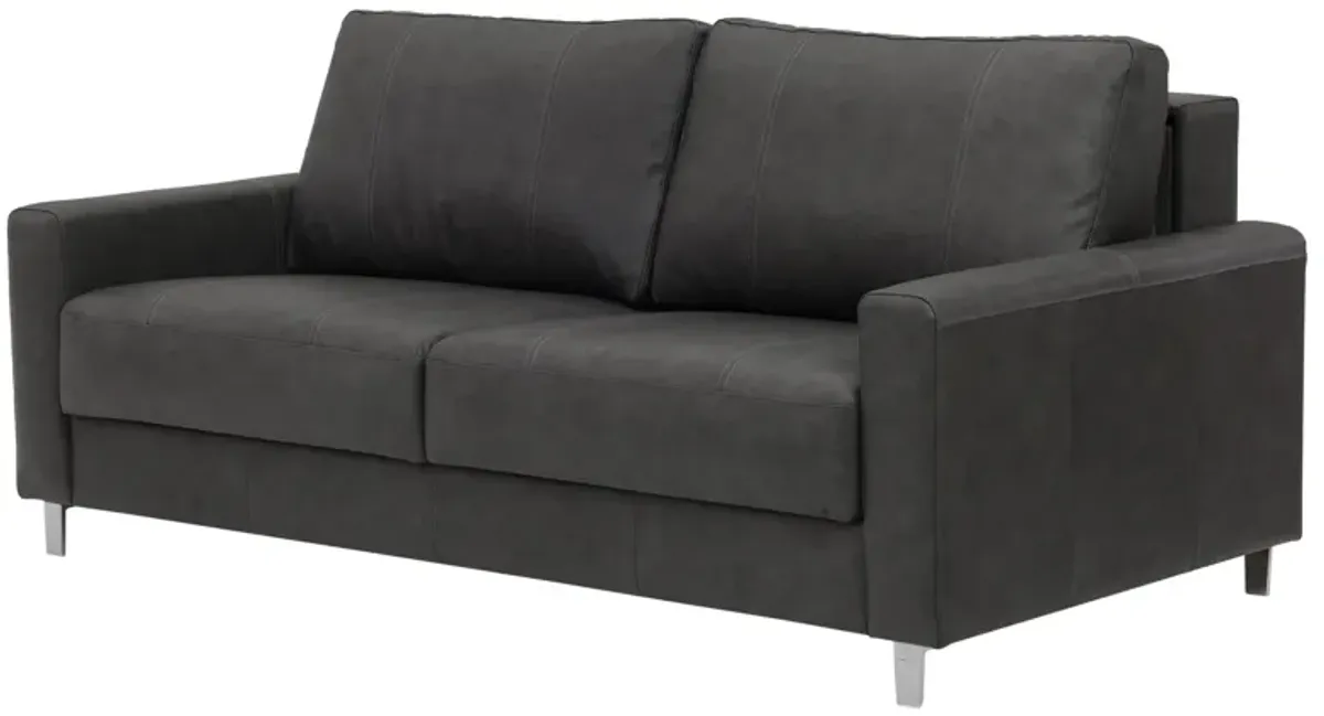 Nico Leather Sleeper Loveseat