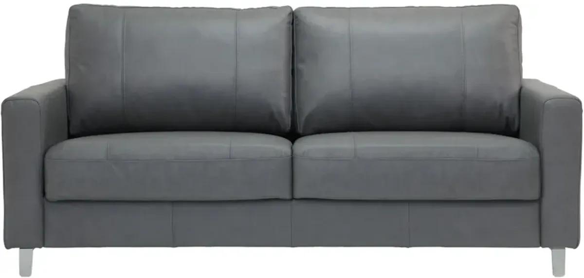 Nico Leather Sleeper Loveseat