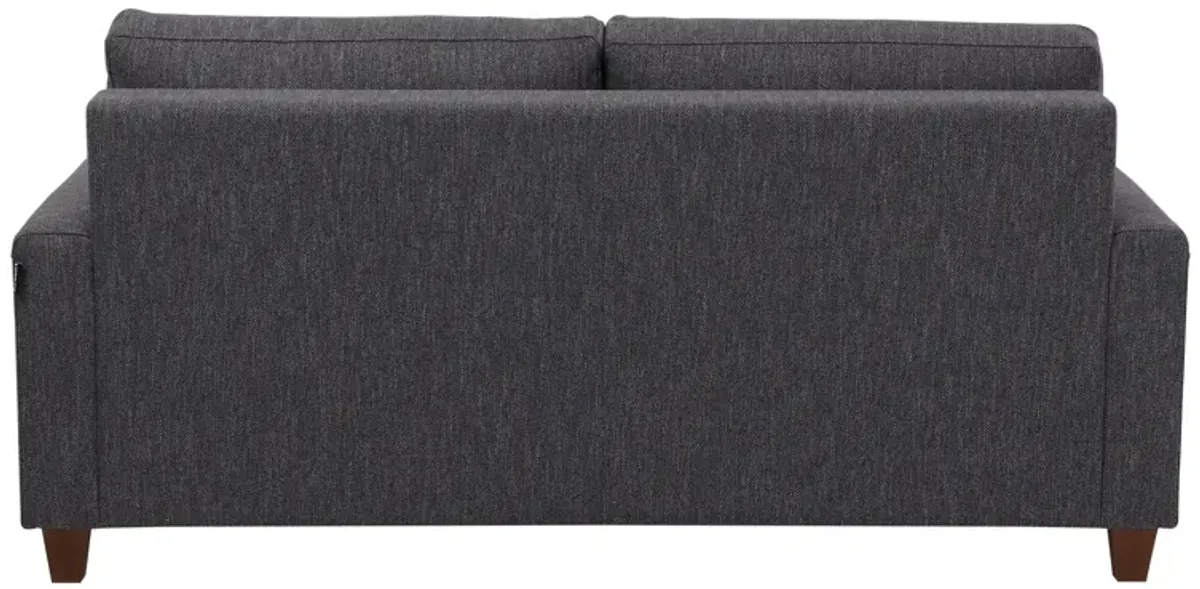 Nico Sleeper Loveseat