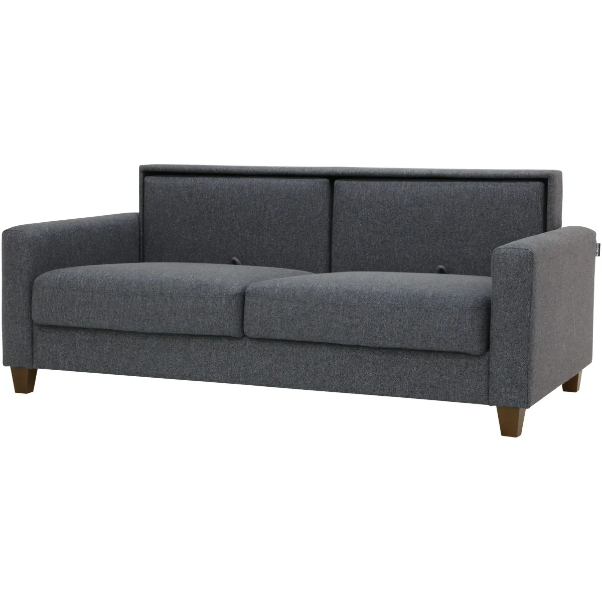 Nico Sleeper Loveseat