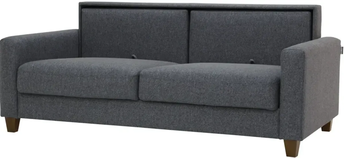 Nico Sleeper Loveseat