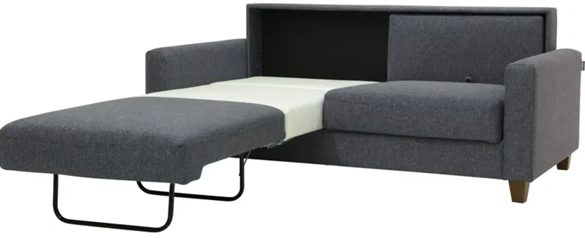 Nico Sleeper Loveseat