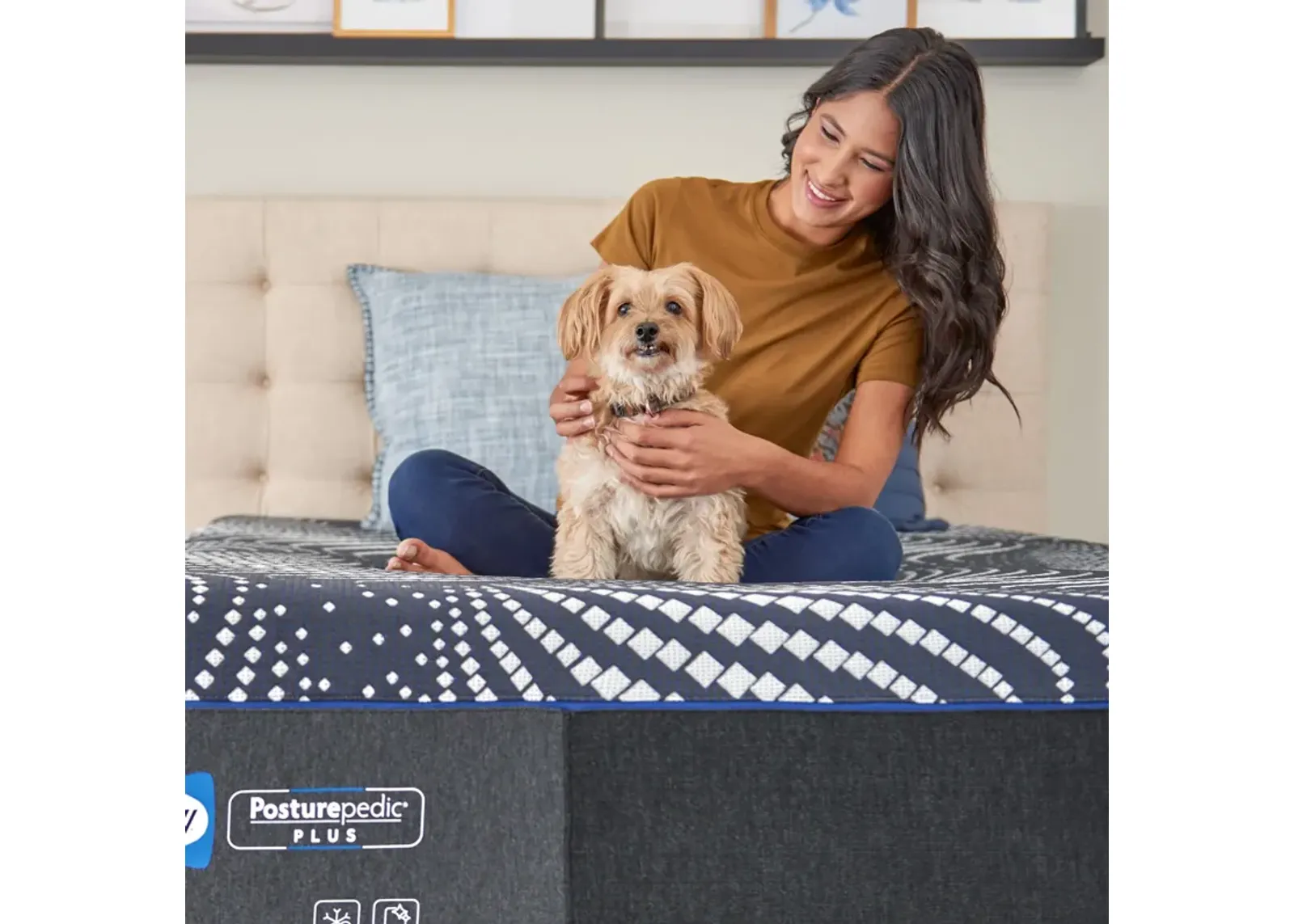 Sealy Posturepedic Plus Foam High Point Ultra Soft Mattress