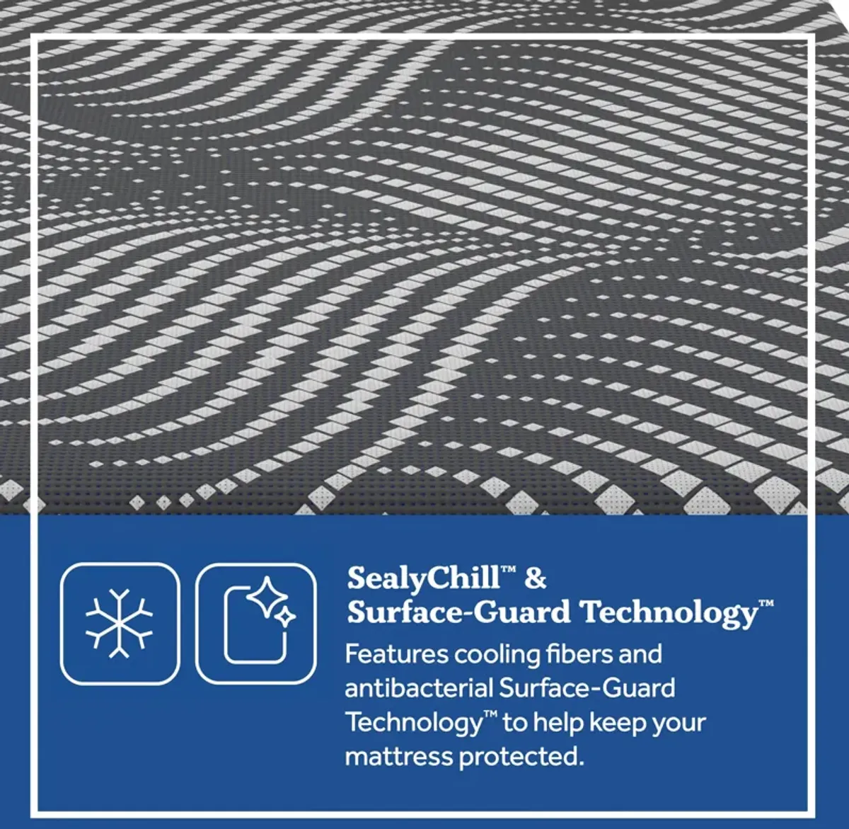 Sealy Posturepedic Plus Foam High Point Ultra Soft Mattress