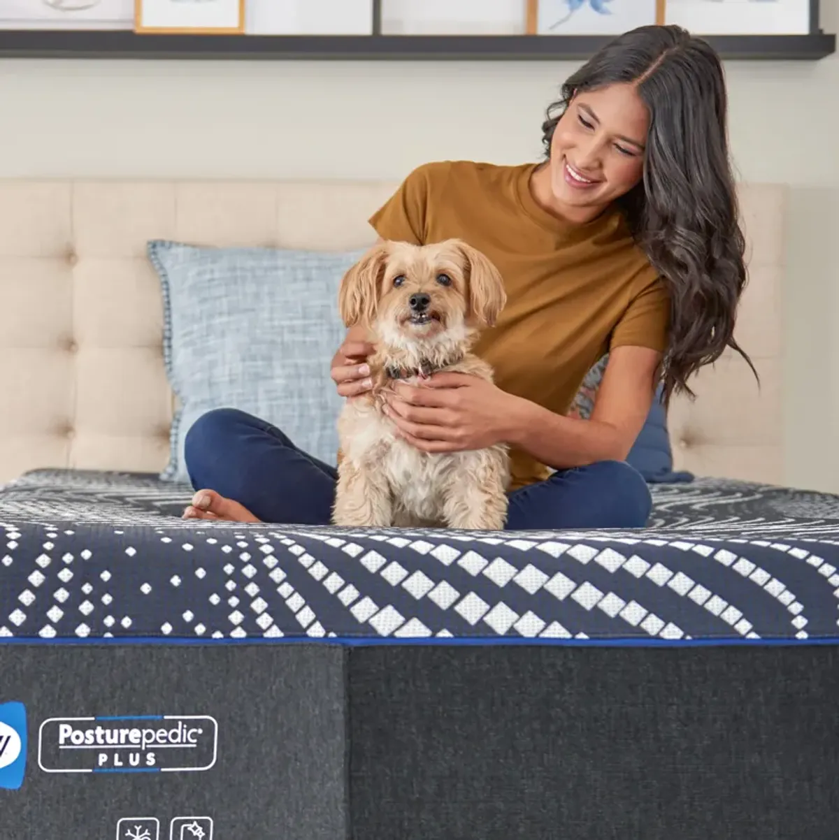 Sealy Posturepedic Plus Foam High Point Ultra Soft Mattress