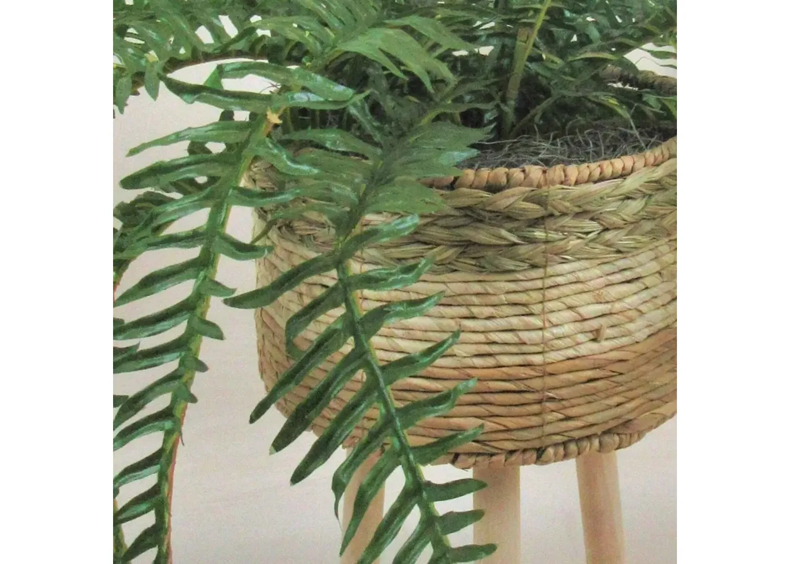 | River Fern 40" Greenery