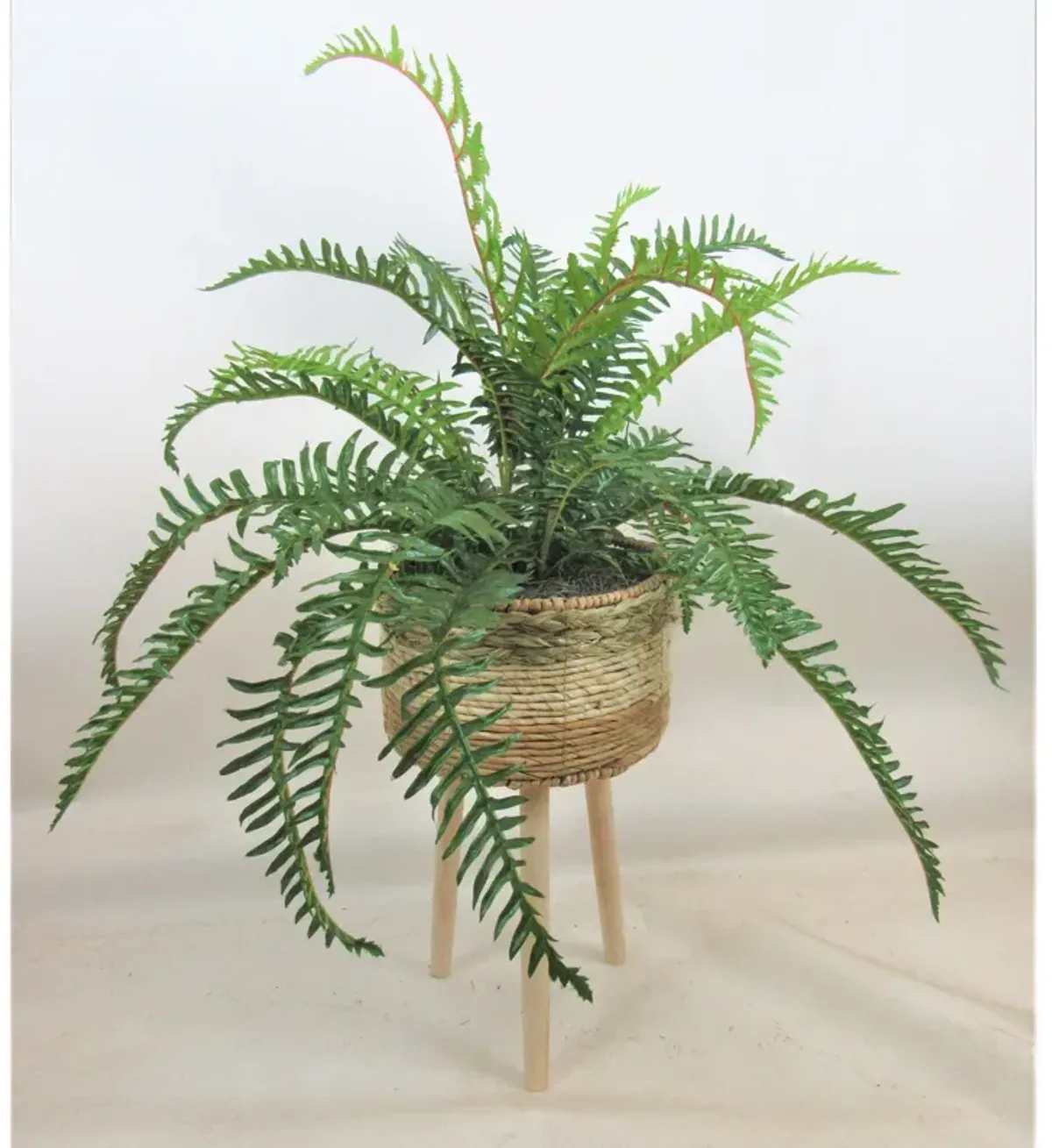 River Fern 40 Inch Greenery