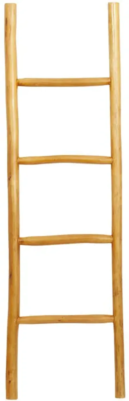 Oswald Brown Modern Ladder