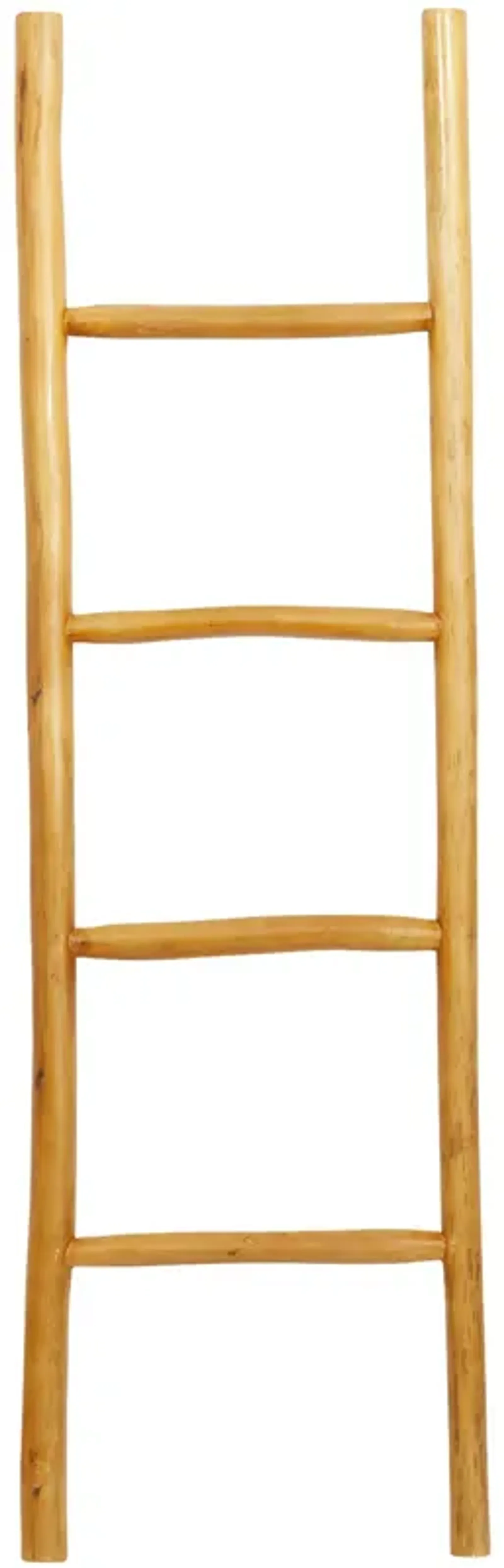 Oswald Modern Ladder