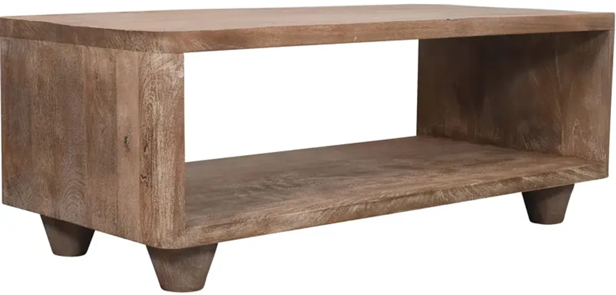 Origins Storage Coffee Table