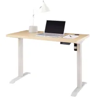 Jetsen Natural Adjustable Height Desk