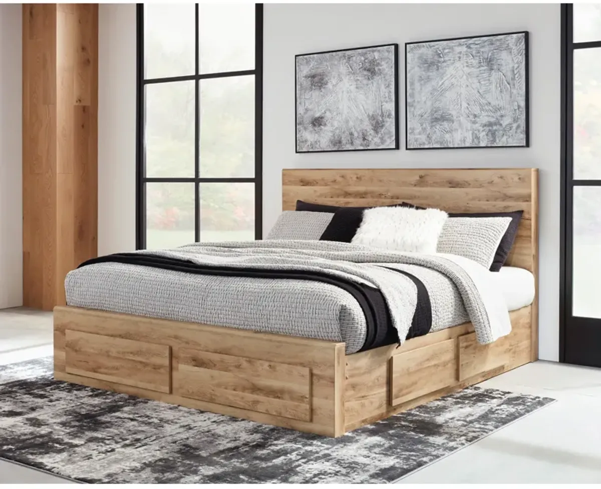 Hyanna Panel Storage Bed