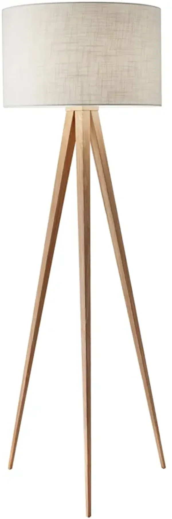Adesso Director Floor Lamp