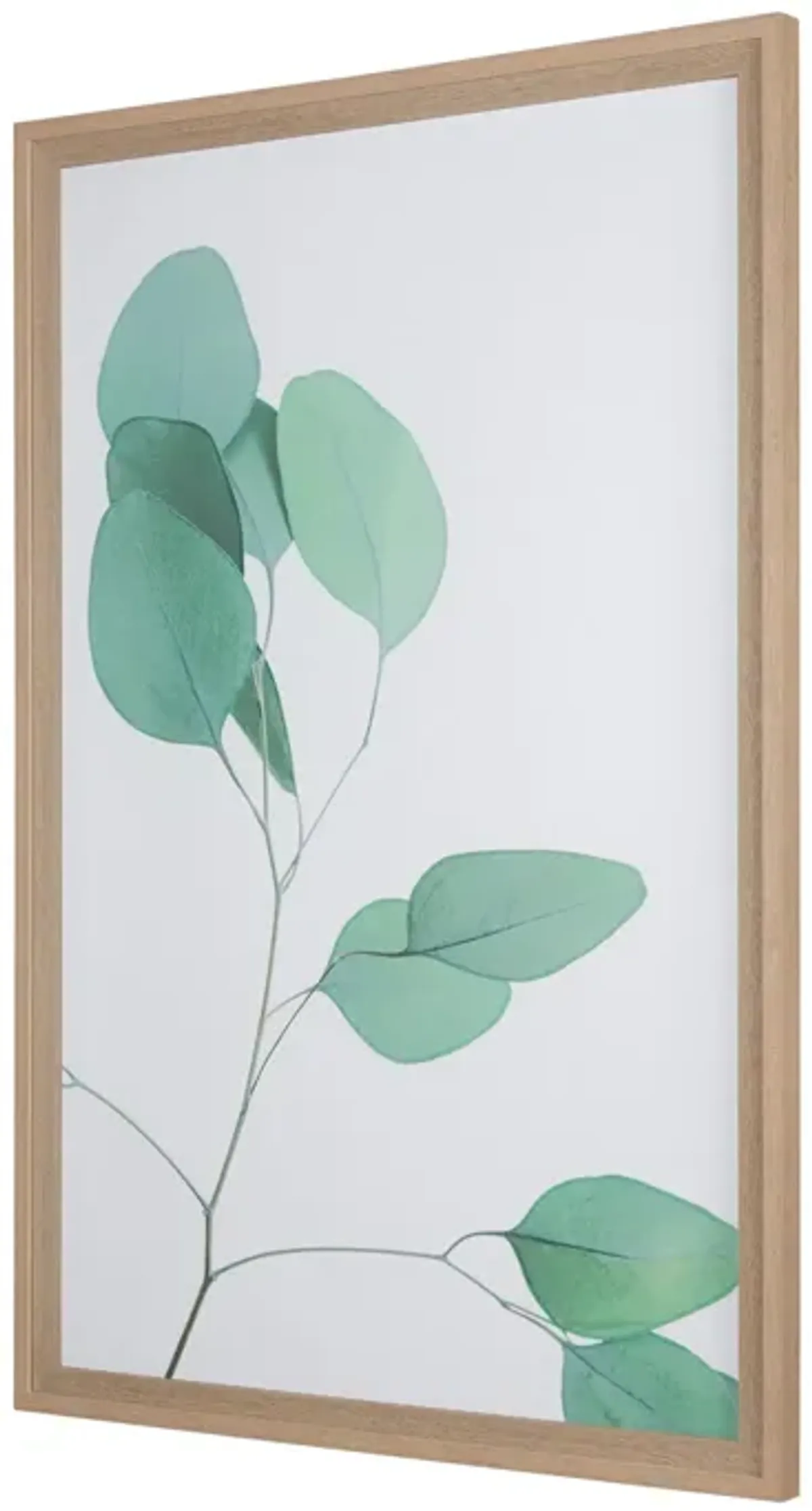 | Nature Calm Lull Wall Art | Green