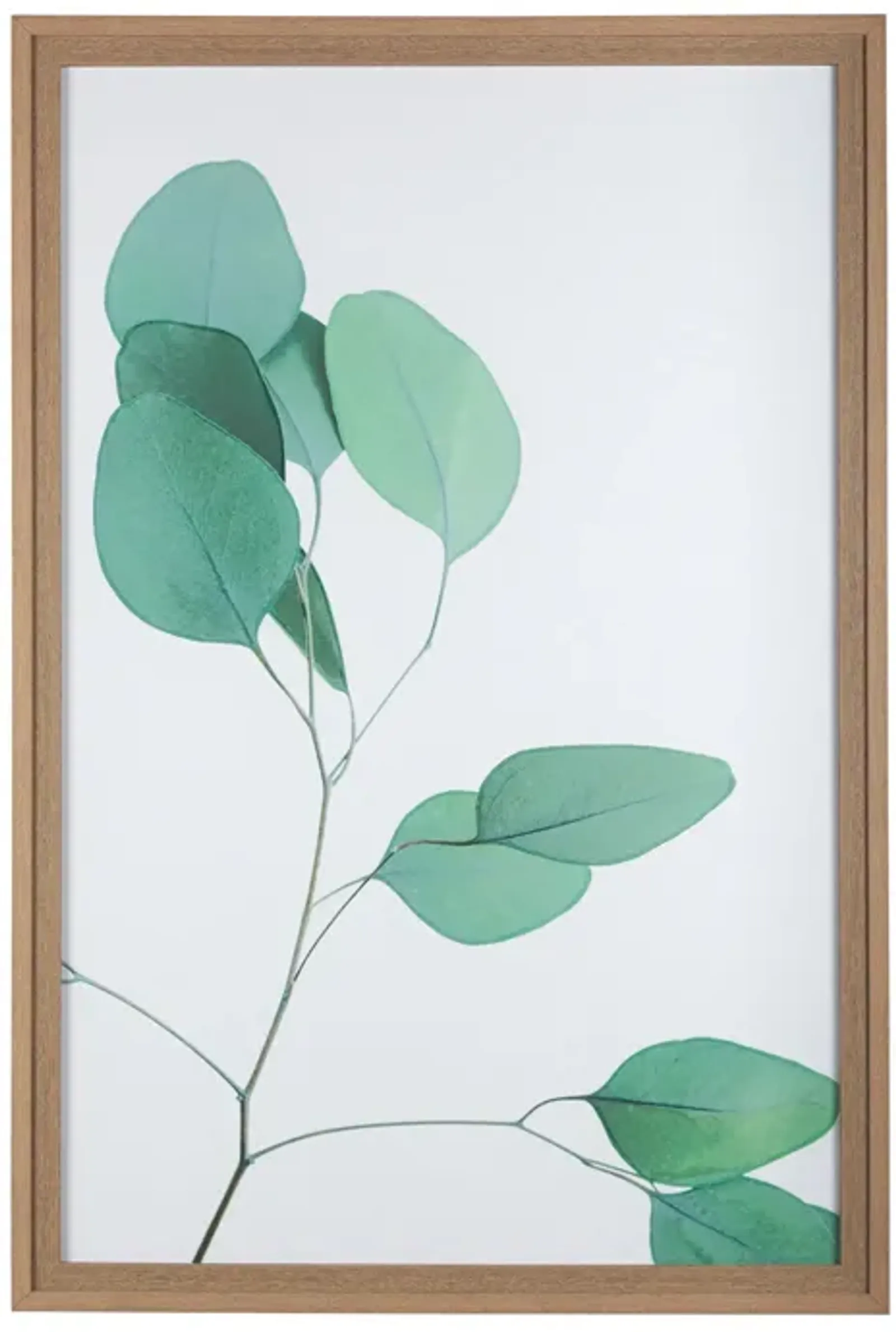 Nature Calm Lull Wall Art