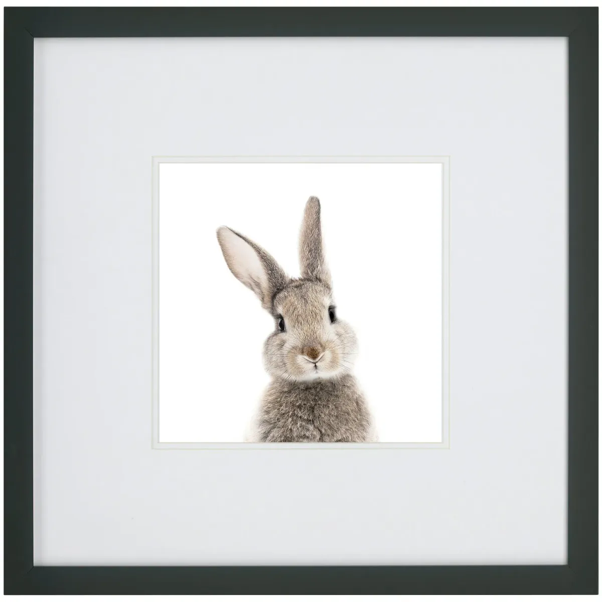 Kids Rabbit Face Wall Art