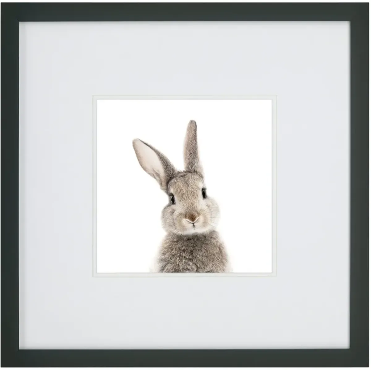 Kids Rabbit Face Wall Art