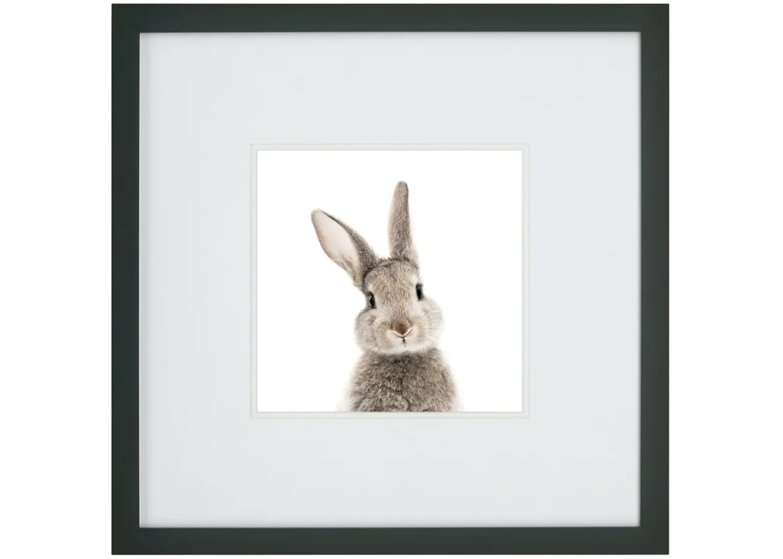 | Kids Rabbit Face Wall Art | Gray