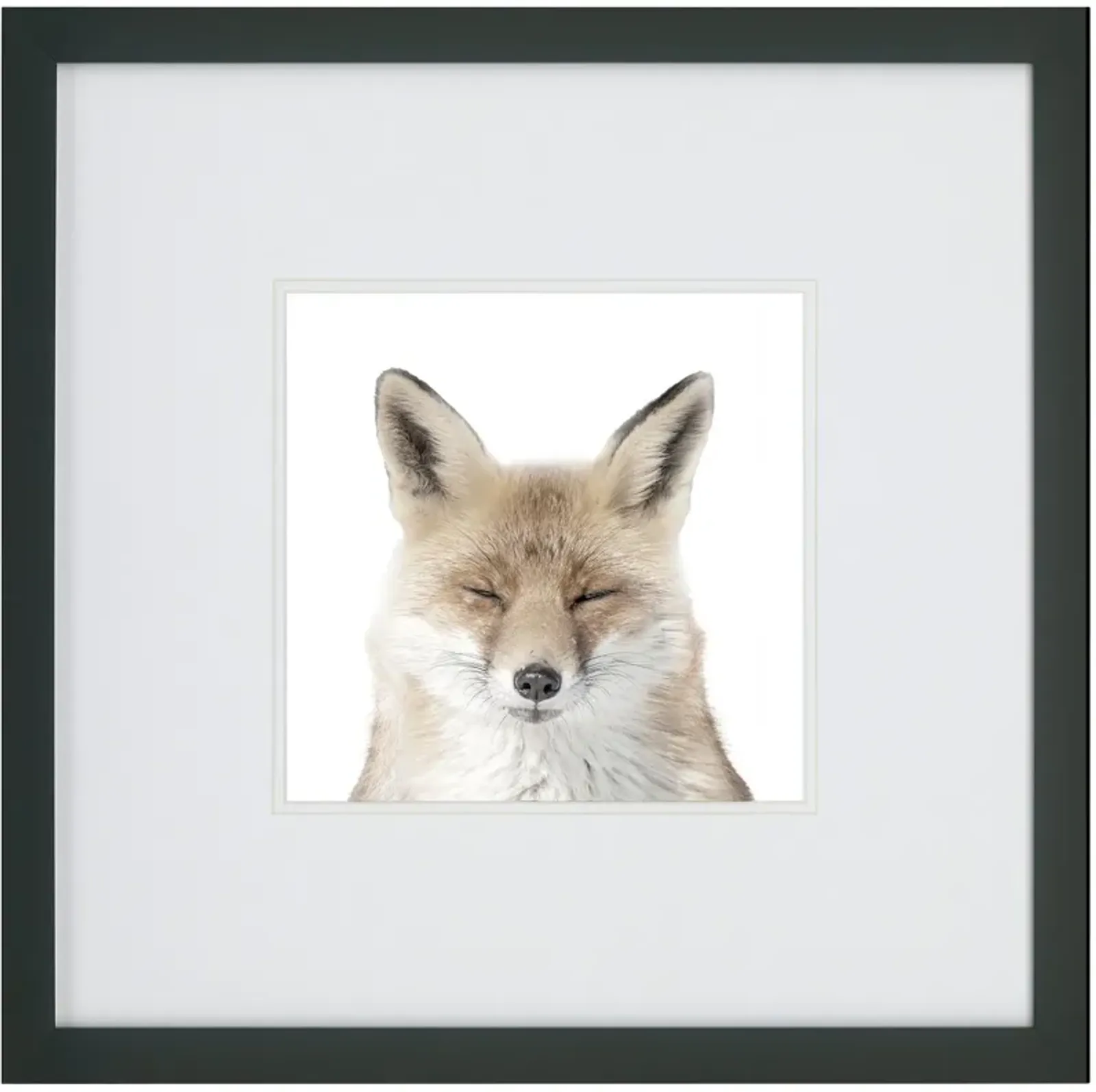 Kids Fox Face Wall Art