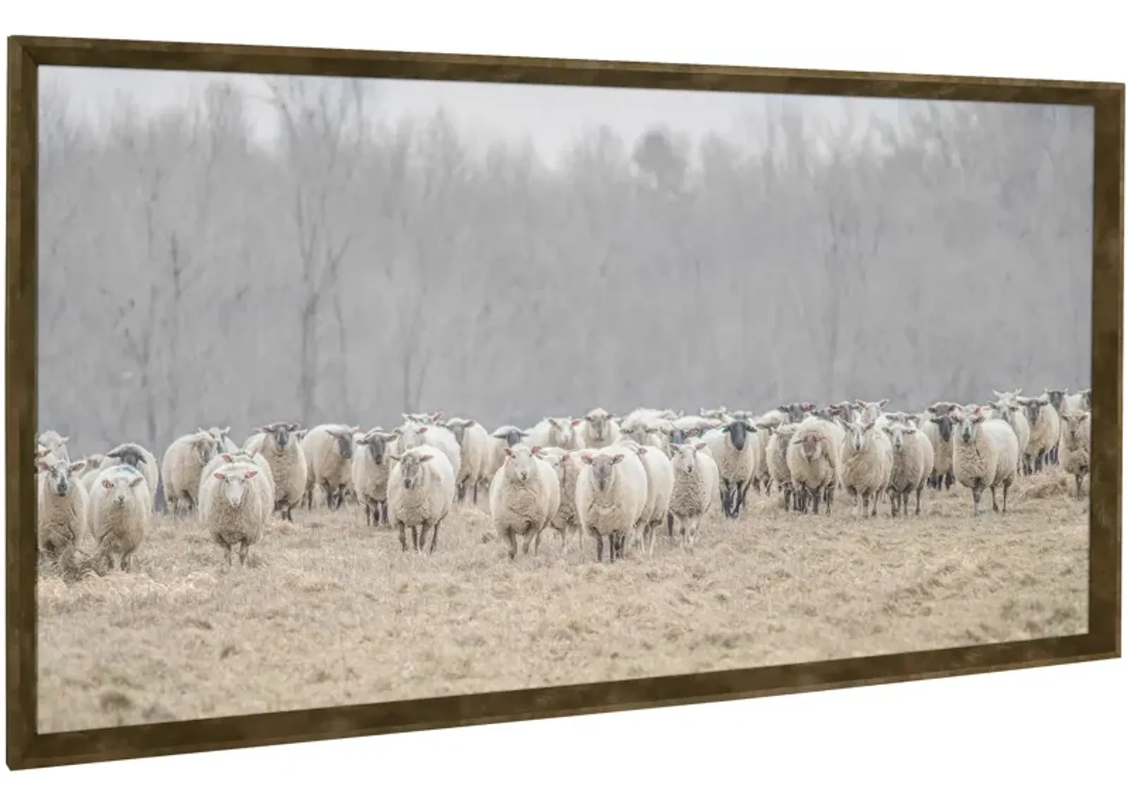 | Lambs Wall Art | Brown