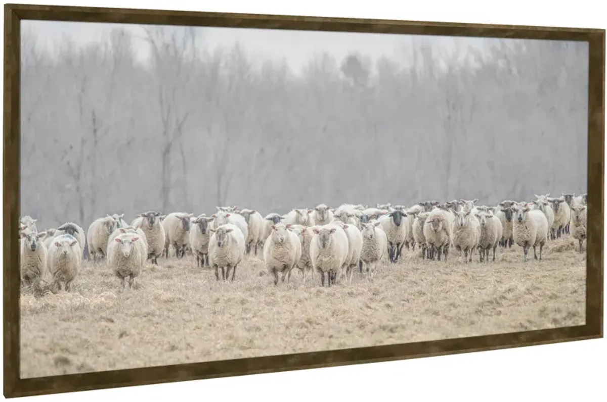 | Lambs Wall Art | Brown