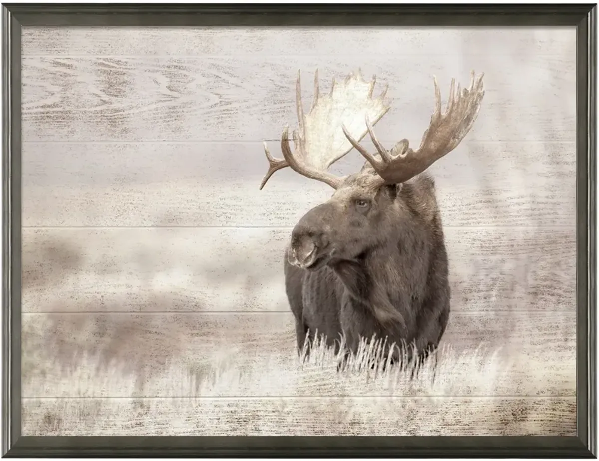 | Moose Wall Art | Brown