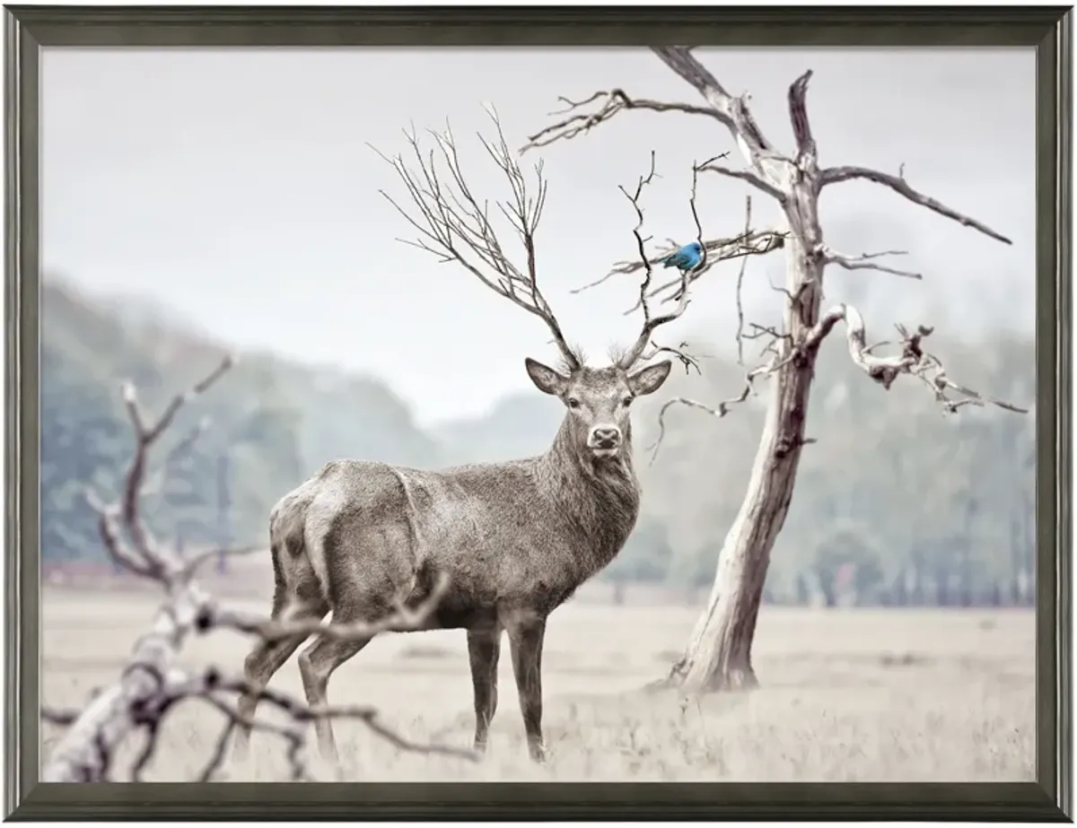 | Alert Deer Wall Art | Brown