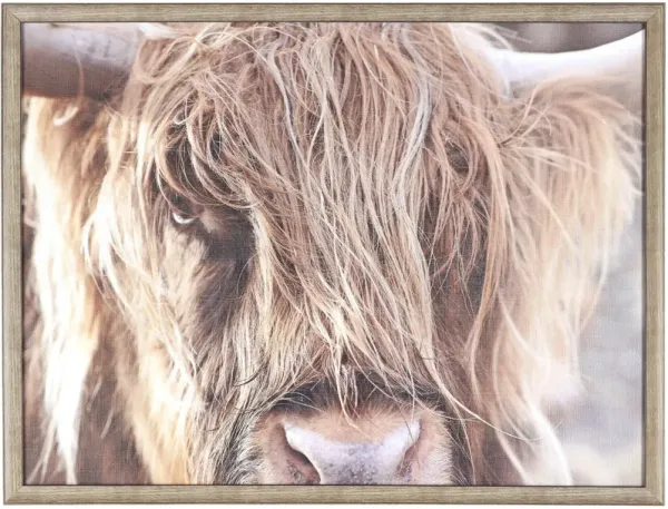 Northwood Collection Angry Bull Wall Art