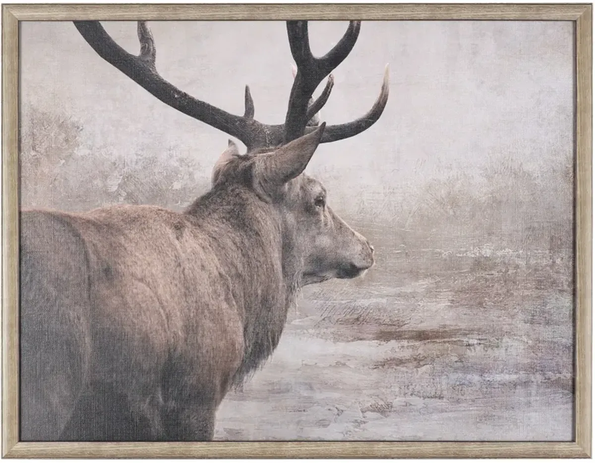 Deer Wall Art