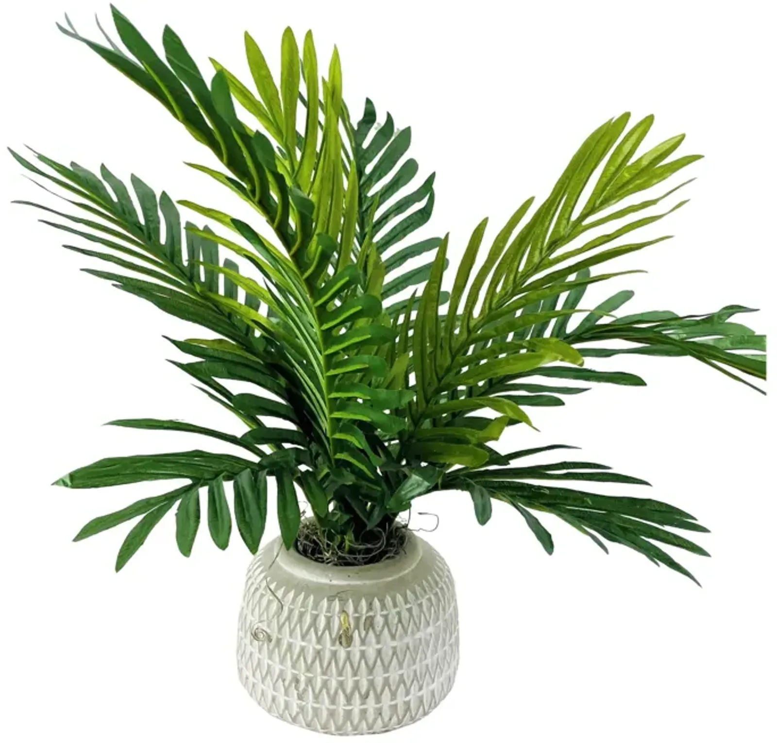 Palm 18 Inch Cement Pot