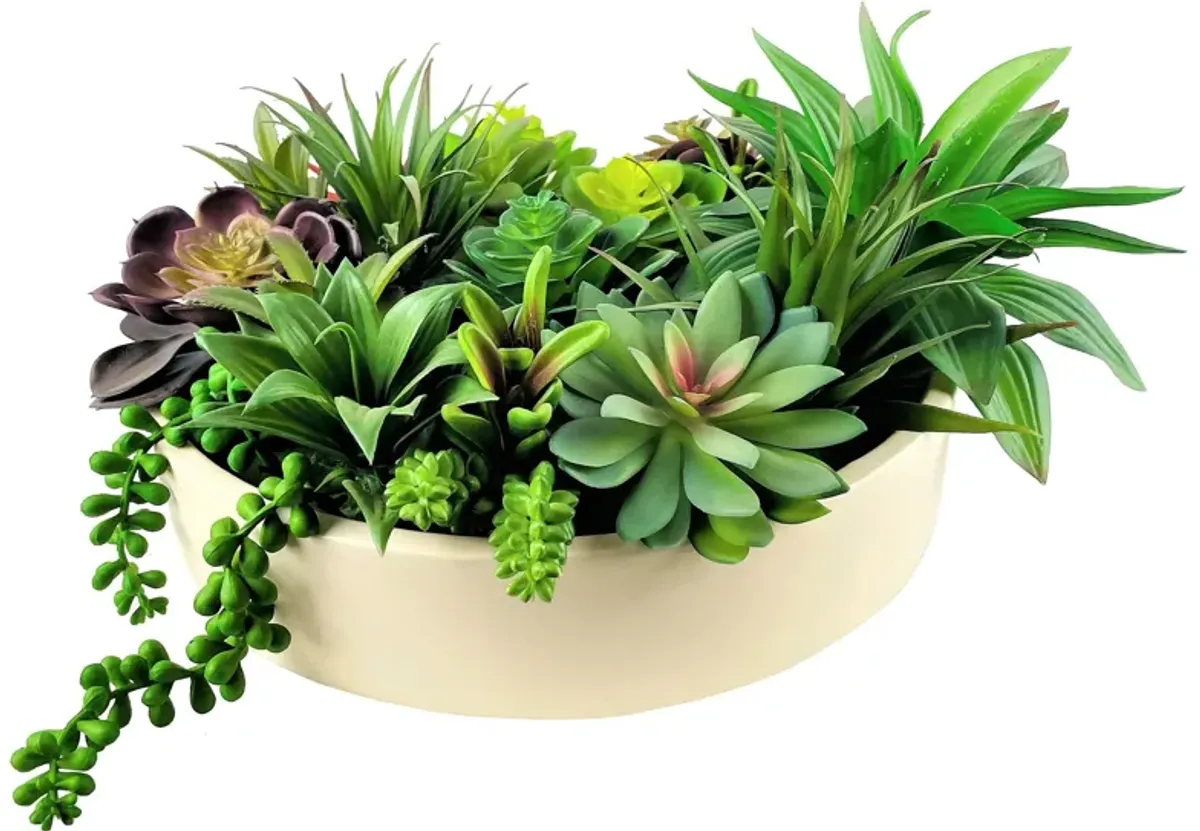 | Succulent Deluxe Garden Flowers | Cream