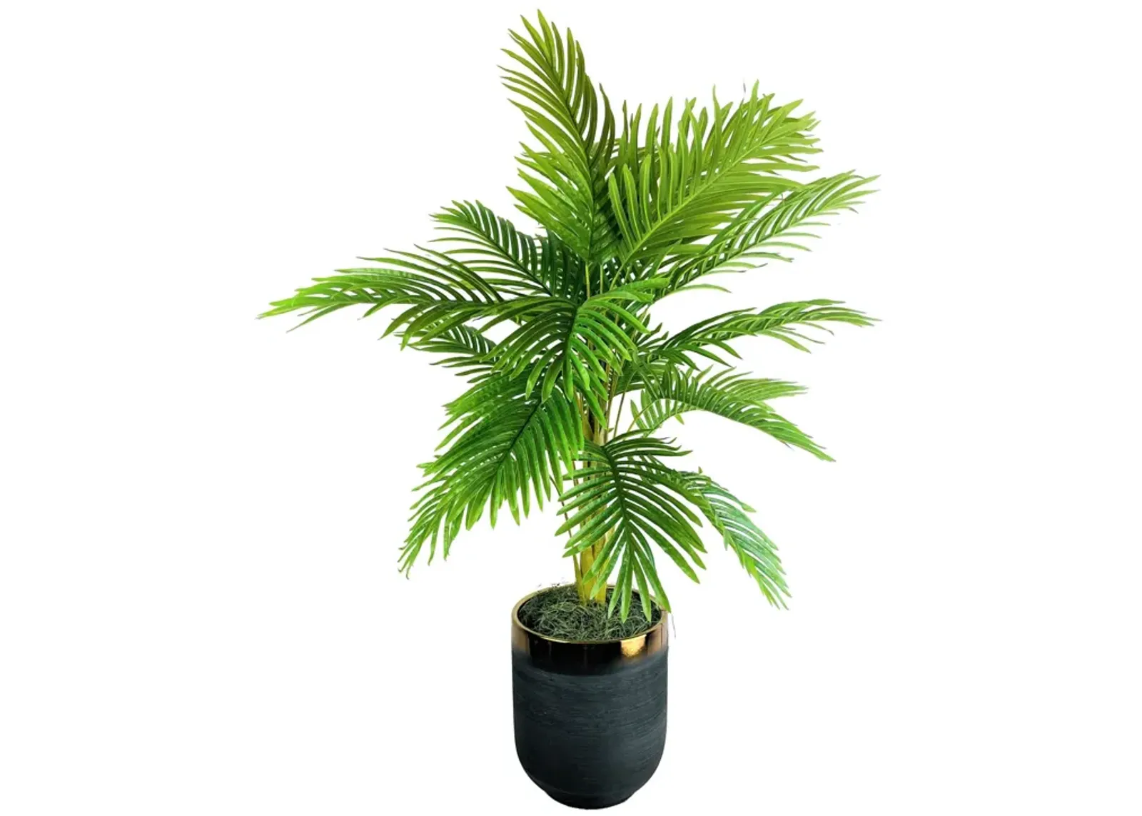 | Palm 5 Foot Tree | Green