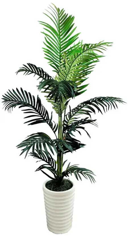 Palm Tree 5 Foot Pot 