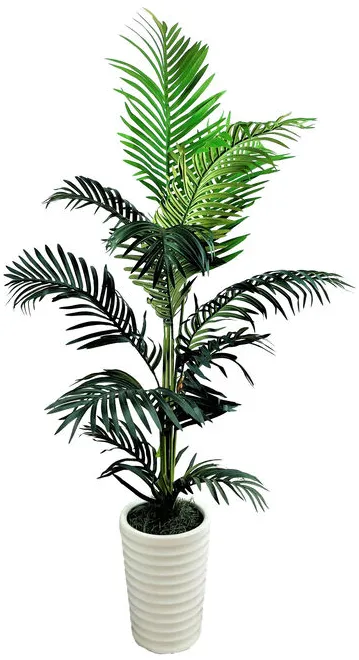 Palm Tree 5 Foot Pot 