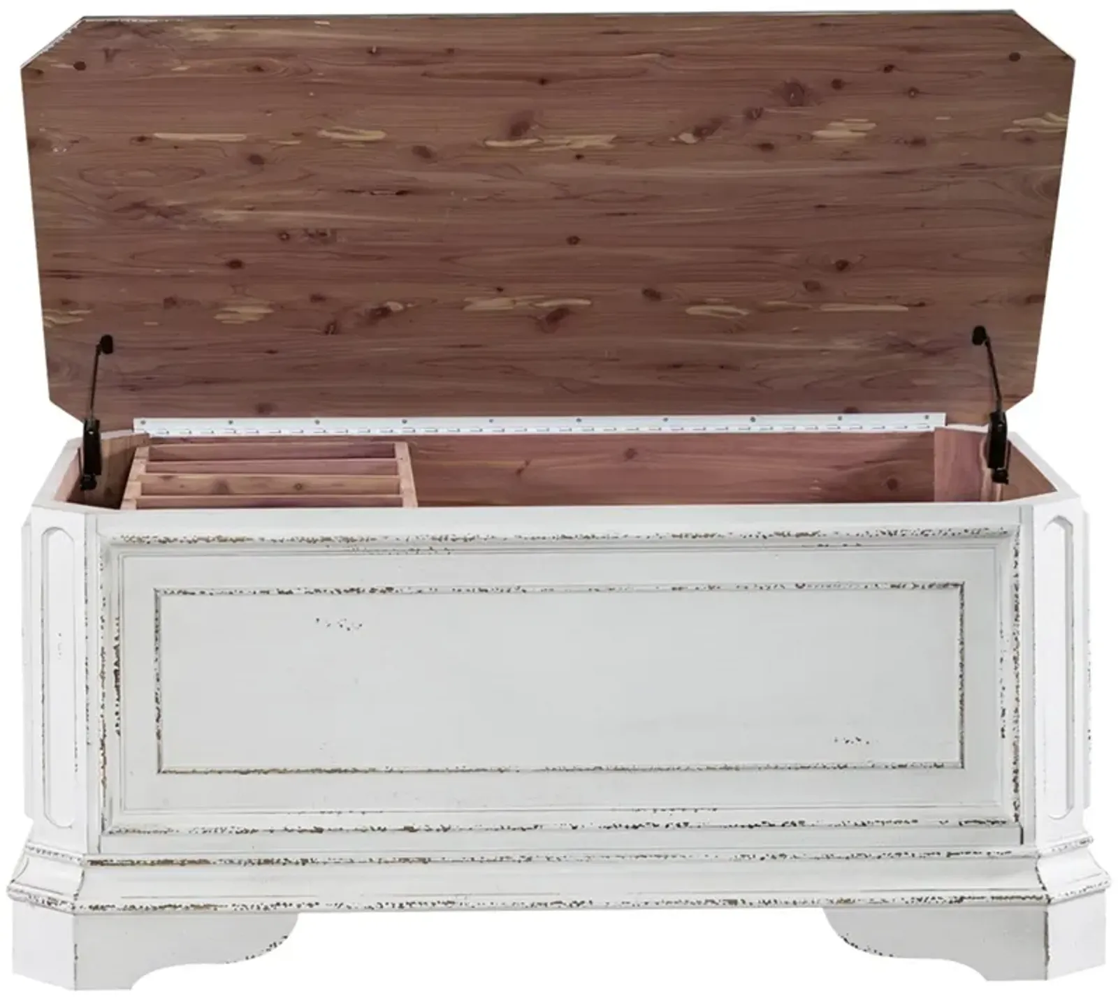 Magnolia Manor Storage Trunk