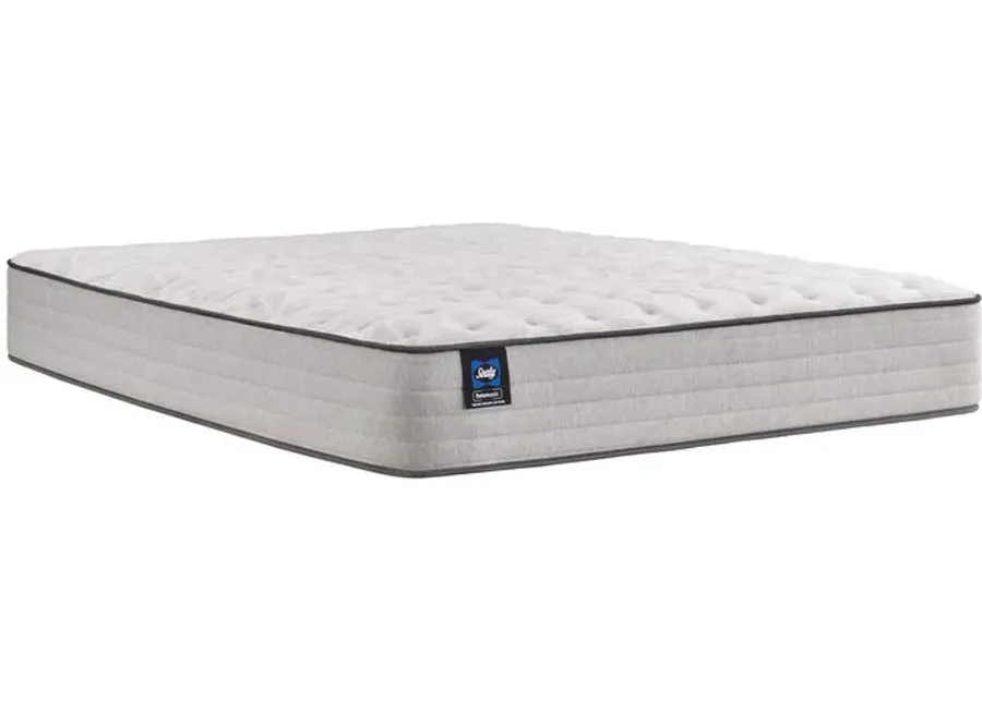 Posturepedic Spring Bloom Firm Twin Mattress 