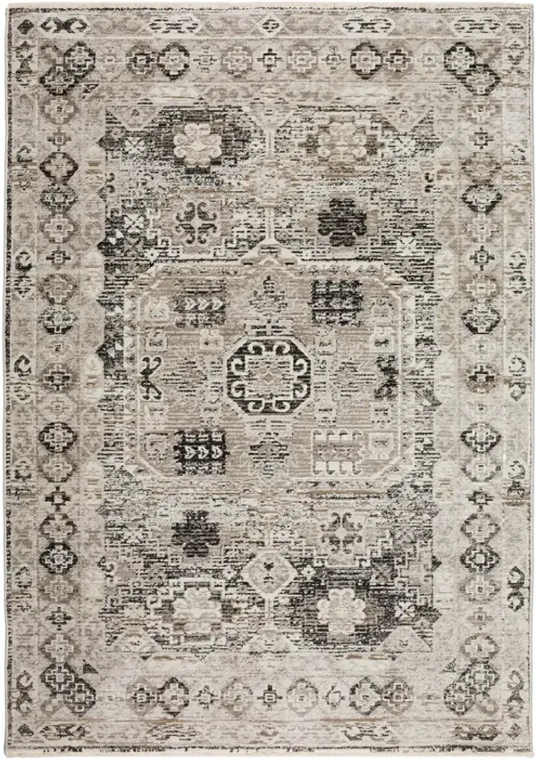 Dalyn Rug Company Izmir IZ4 Rug