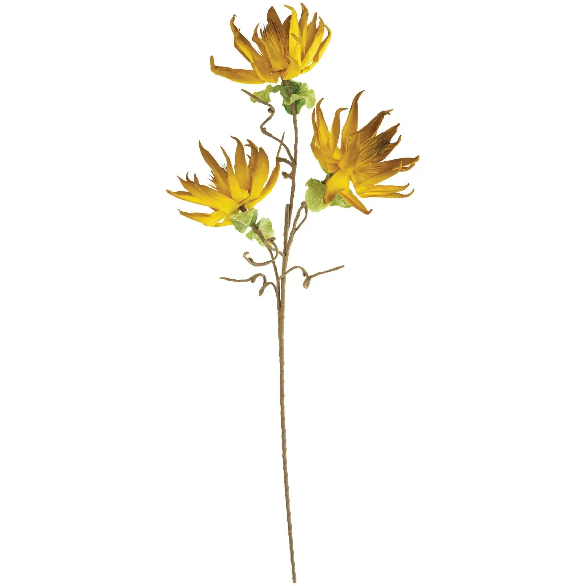 Botanical Dried Sunflowers Greenery