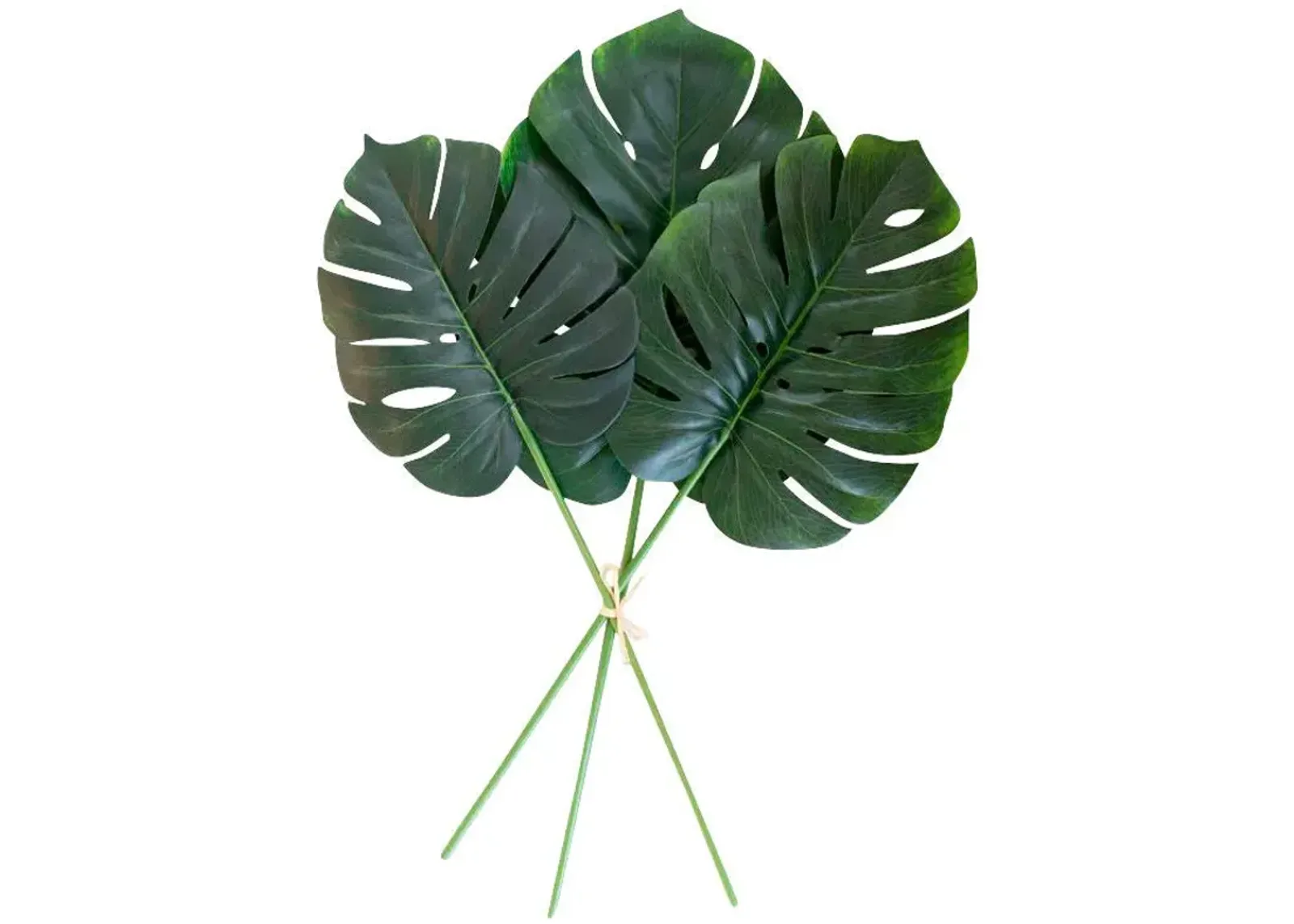 | Botanical Large Monstera Leaf Greenery | Dark Green